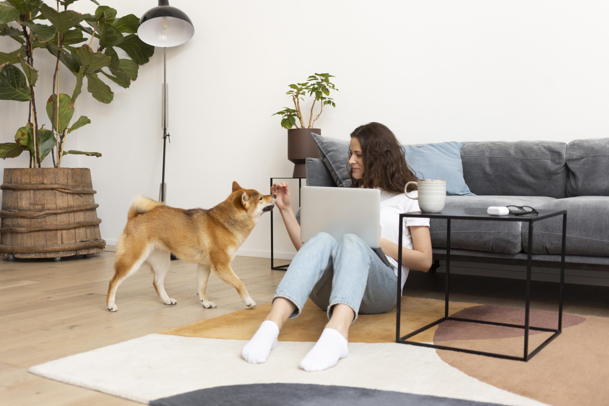 Pets em Apartamento: Como Garantir Mais Qualidade de Vida ao Seu Pet