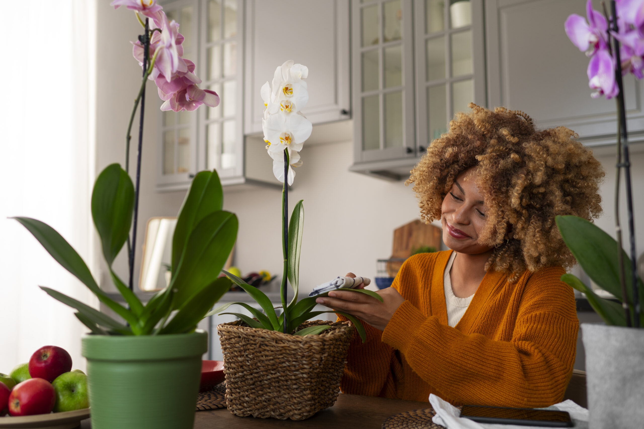 Jardinagem em Apartamentos: Como Trazer Verde para Dentro de Casa